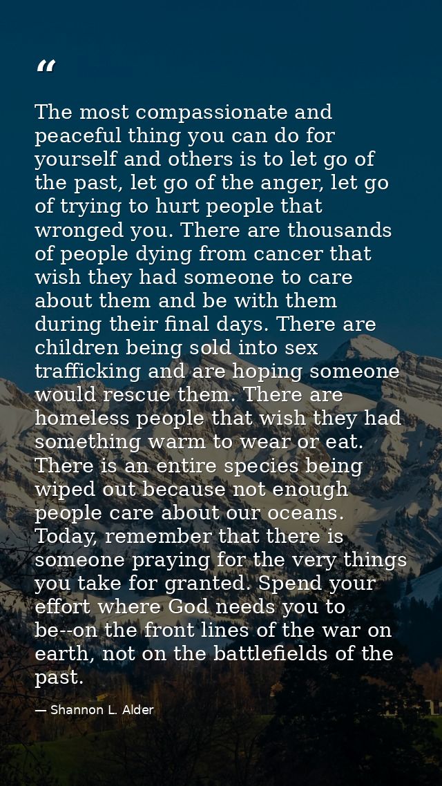The most compassionate and peaceful thing you can do for yourself and others is to let go of the past, let go of the ang — Shannon L. Alder