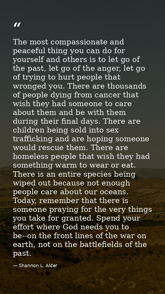 The most compassionate and peaceful thing you can do for yourself and others is to let go of the past, let go of the ang — Shannon L. Alder