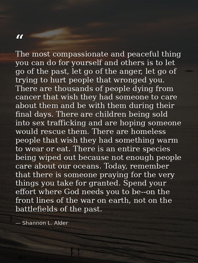 The most compassionate and peaceful thing you can do for yourself and others is to let go of the past, let go of the ang — Shannon L. Alder