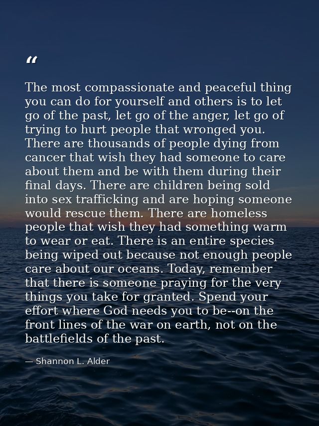 The most compassionate and peaceful thing you can do for yourself and others is to let go of the past, let go of the ang — Shannon L. Alder