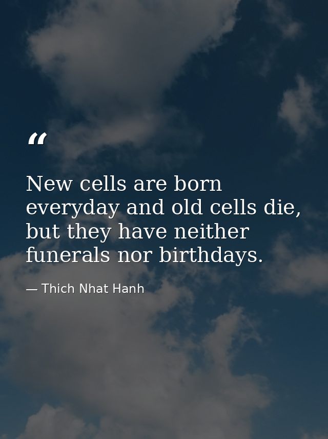 New cells are born everyday and old cells die, but they have neither funerals nor birthdays. — Thich Nhat Hanh