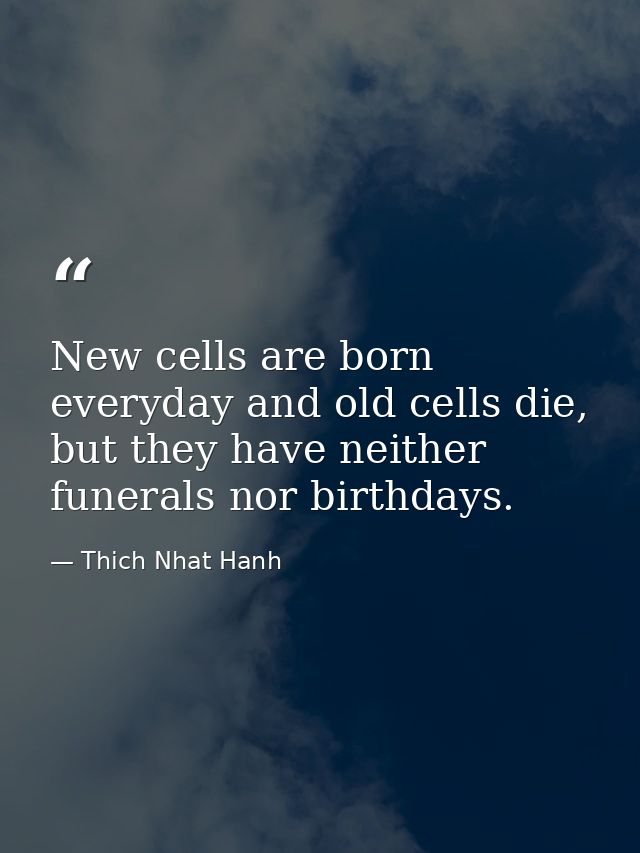 New cells are born everyday and old cells die, but they have neither funerals nor birthdays. — Thich Nhat Hanh