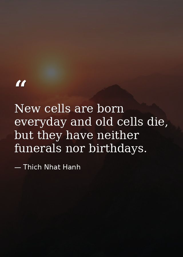 New cells are born everyday and old cells die, but they have neither funerals nor birthdays. — Thich Nhat Hanh