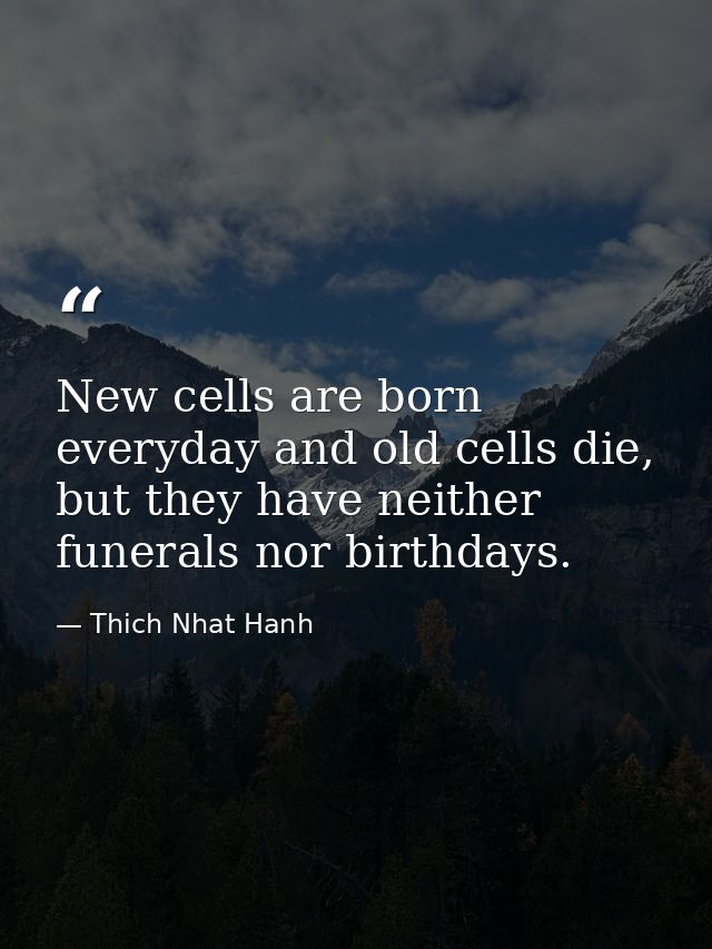New cells are born everyday and old cells die, but they have neither funerals nor birthdays. — Thich Nhat Hanh