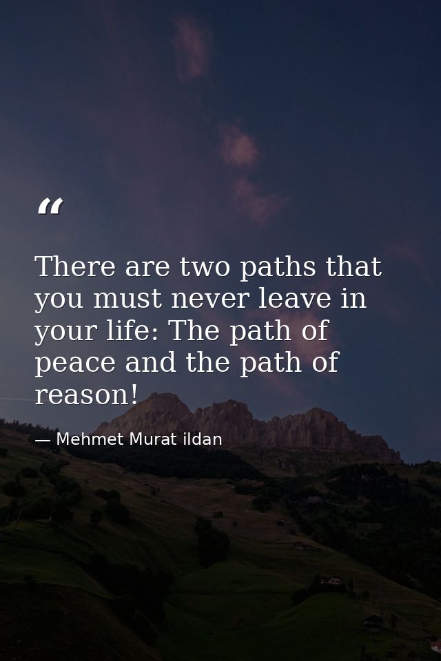 There are two paths that you must never leave in your life: The path of peace and the path of reason! — Mehmet Murat ildan