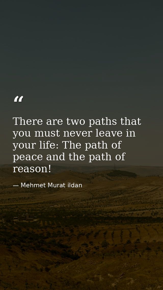 There are two paths that you must never leave in your life: The path of peace and the path of reason! — Mehmet Murat ildan