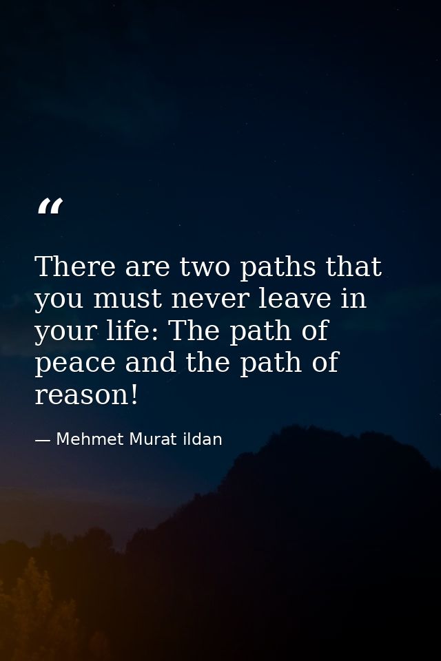 There are two paths that you must never leave in your life: The path of peace and the path of reason! — Mehmet Murat ildan