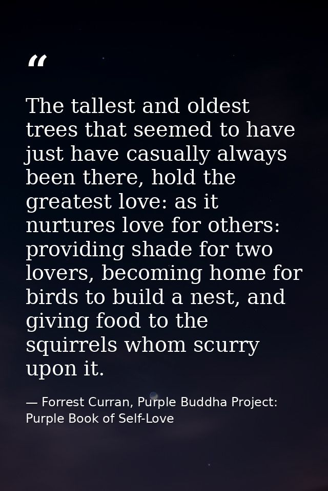 The tallest and oldest trees that seemed to have just have casually always been there, hold the greatest love: as it nur — Forrest Curran, Purple Buddha Project: Purple Book of Self-Love