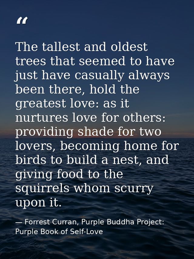 The tallest and oldest trees that seemed to have just have casually always been there, hold the greatest love: as it nur — Forrest Curran, Purple Buddha Project: Purple Book of Self-Love