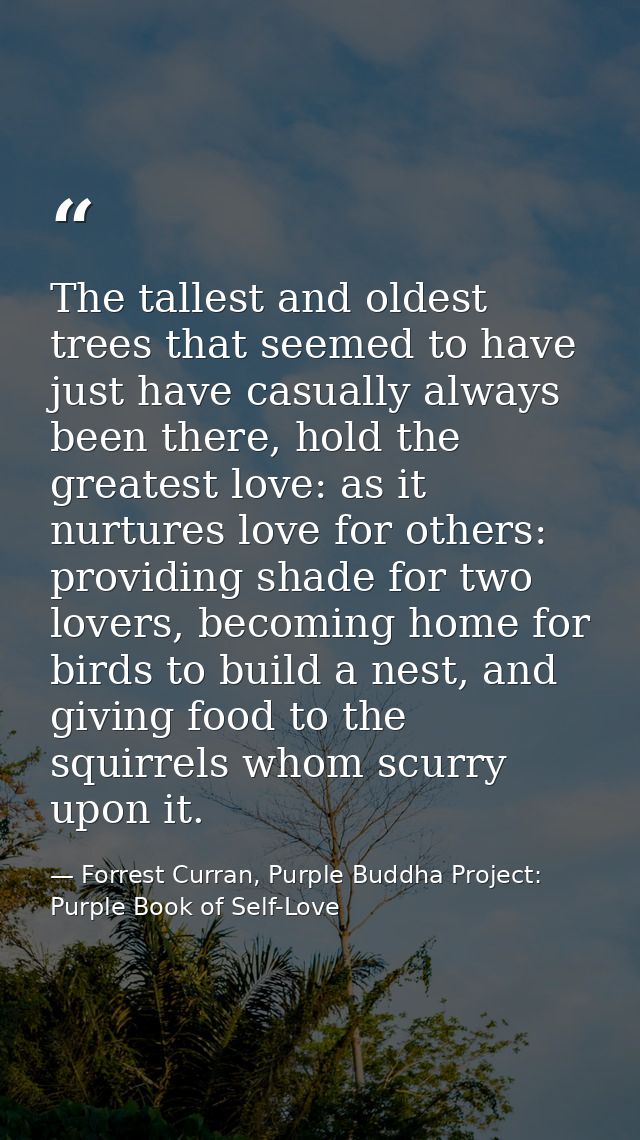 The tallest and oldest trees that seemed to have just have casually always been there, hold the greatest love: as it nur — Forrest Curran, Purple Buddha Project: Purple Book of Self-Love