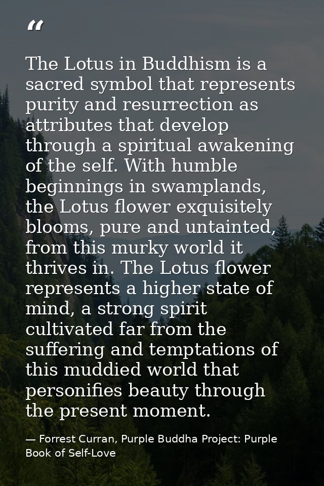 The Lotus in Buddhism is a sacred symbol that represents purity and resurrection as attributes that develop through a sp — Forrest Curran, Purple Buddha Project: Purple Book of Self-Love