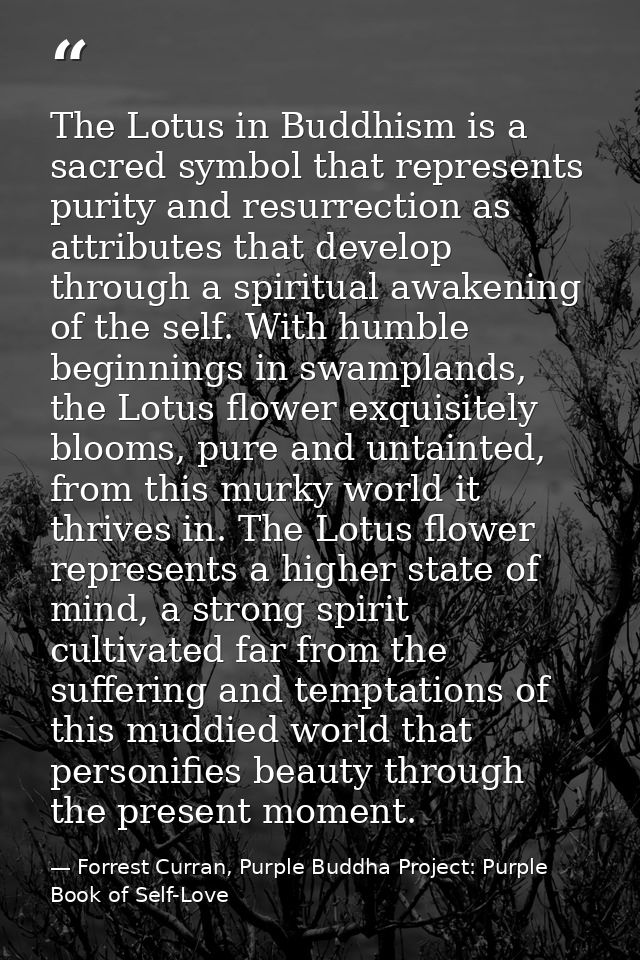 The Lotus in Buddhism is a sacred symbol that represents purity and resurrection as attributes that develop through a sp — Forrest Curran, Purple Buddha Project: Purple Book of Self-Love