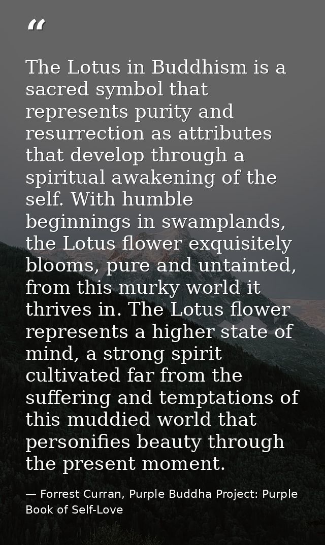 The Lotus in Buddhism is a sacred symbol that represents purity and resurrection as attributes that develop through a sp — Forrest Curran, Purple Buddha Project: Purple Book of Self-Love