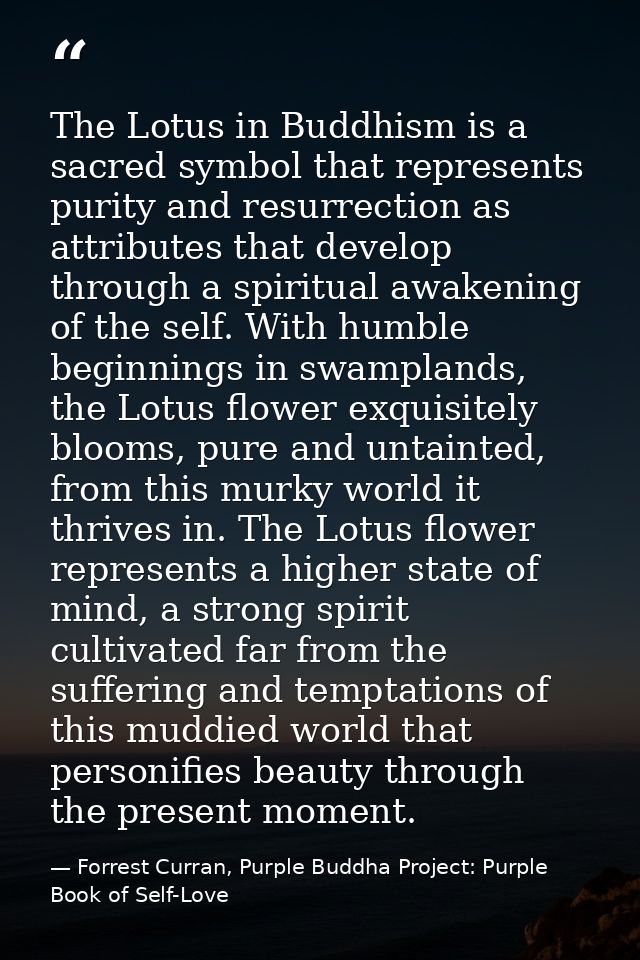 The Lotus in Buddhism is a sacred symbol that represents purity and resurrection as attributes that develop through a sp — Forrest Curran, Purple Buddha Project: Purple Book of Self-Love
