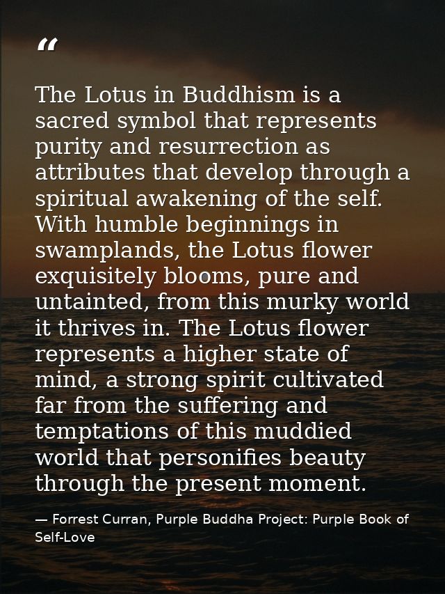 The Lotus in Buddhism is a sacred symbol that represents purity and resurrection as attributes that develop through a sp — Forrest Curran, Purple Buddha Project: Purple Book of Self-Love