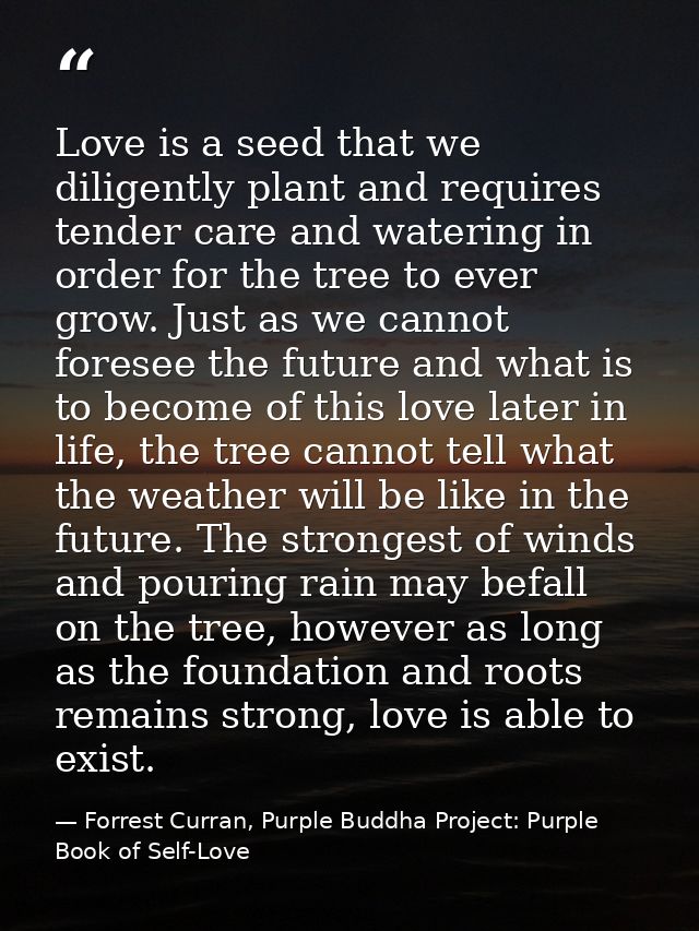 Love is a seed that we diligently plant and requires tender care and watering in order for the tree to ever grow. Just a — Forrest Curran, Purple Buddha Project: Purple Book of Self-Love