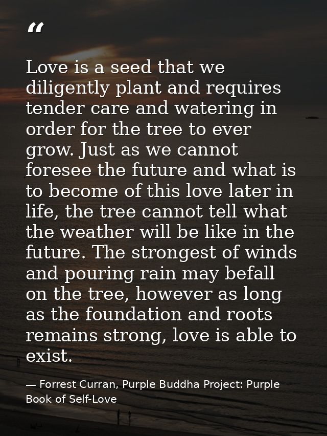 Love is a seed that we diligently plant and requires tender care and watering in order for the tree to ever grow. Just a — Forrest Curran, Purple Buddha Project: Purple Book of Self-Love