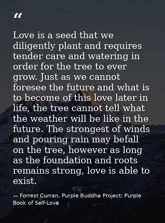 Love is a seed that we diligently plant and requires tender care and watering in order for the tree to ever grow. Just a — Forrest Curran, Purple Buddha Project: Purple Book of Self-Love