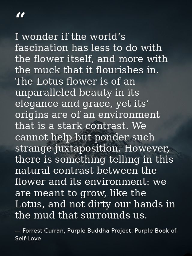 I wonder if the world’s fascination has less to do with the flower itself, and more with the muck that it flourishes in. — Forrest Curran, Purple Buddha Project: Purple Book of Self-Love