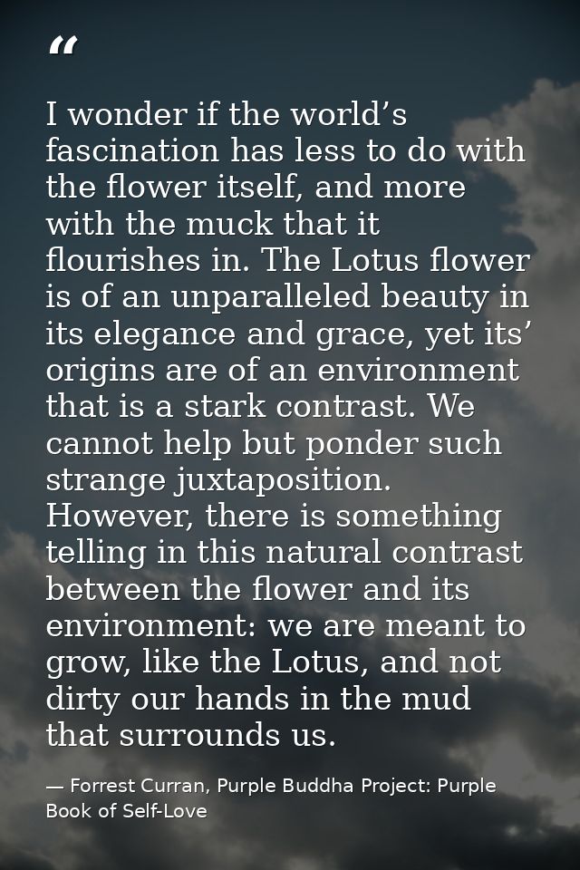 I wonder if the world’s fascination has less to do with the flower itself, and more with the muck that it flourishes in. — Forrest Curran, Purple Buddha Project: Purple Book of Self-Love