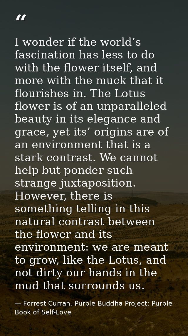 I wonder if the world’s fascination has less to do with the flower itself, and more with the muck that it flourishes in. — Forrest Curran, Purple Buddha Project: Purple Book of Self-Love