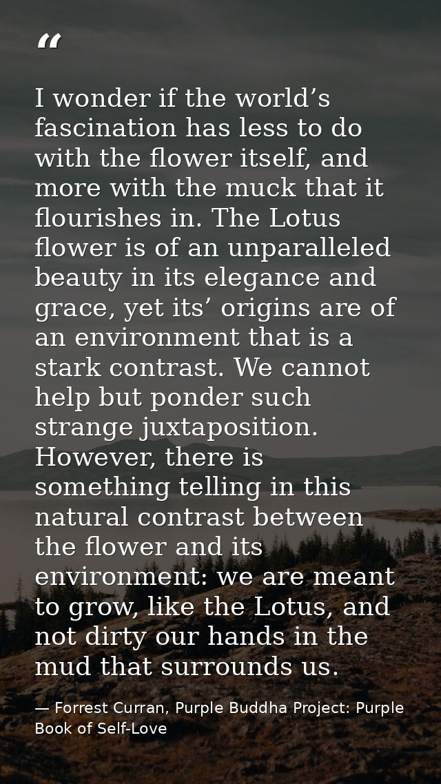 I wonder if the world’s fascination has less to do with the flower itself, and more with the muck that it flourishes in. — Forrest Curran, Purple Buddha Project: Purple Book of Self-Love