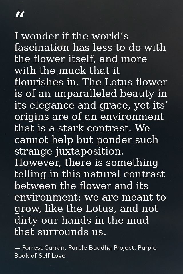 I wonder if the world’s fascination has less to do with the flower itself, and more with the muck that it flourishes in. — Forrest Curran, Purple Buddha Project: Purple Book of Self-Love