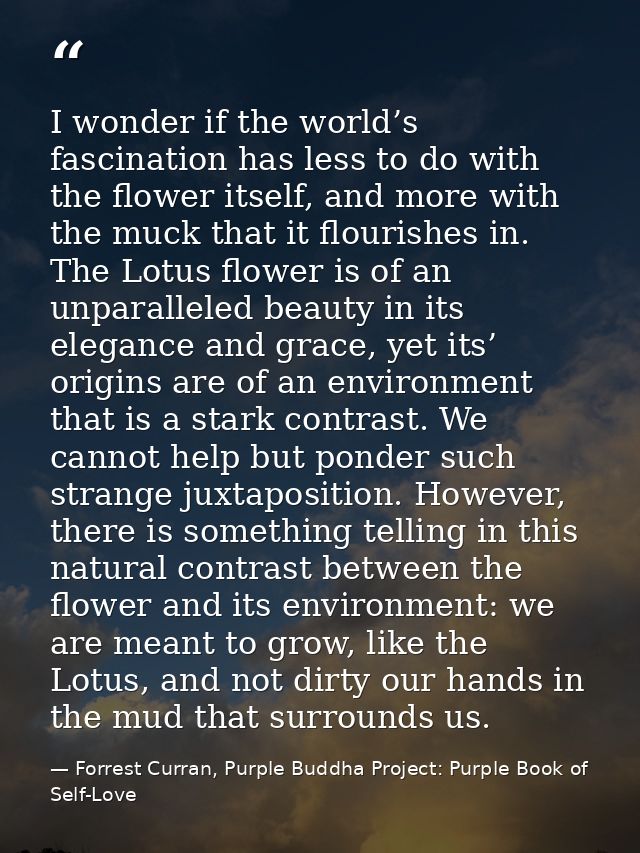 I wonder if the world’s fascination has less to do with the flower itself, and more with the muck that it flourishes in. — Forrest Curran, Purple Buddha Project: Purple Book of Self-Love