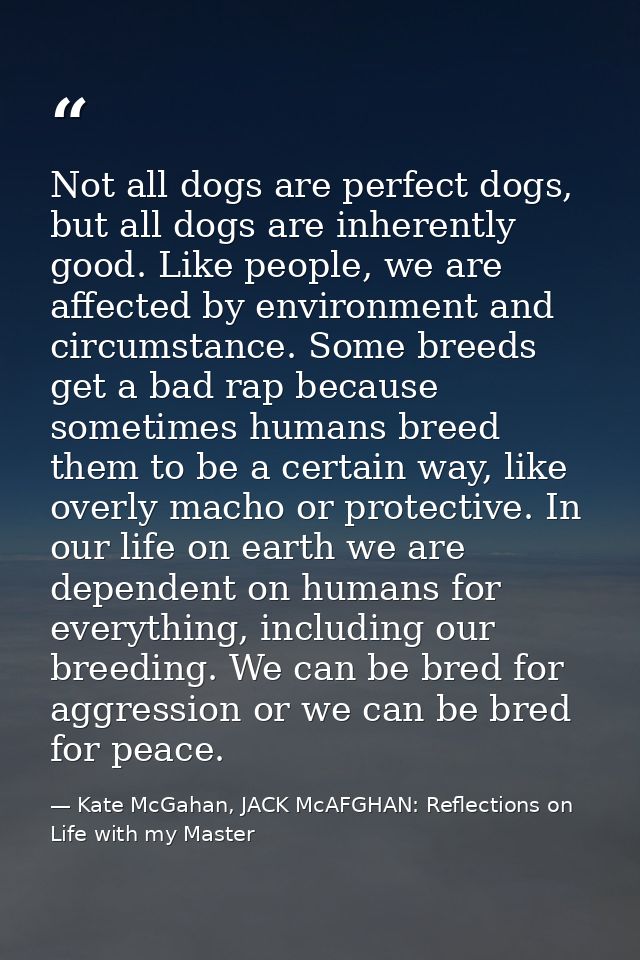 Not all dogs are perfect dogs, but all dogs are inherently good. Like people, we are affected by environment and circums — Kate McGahan, JACK McAFGHAN: Reflections on Life with my Master