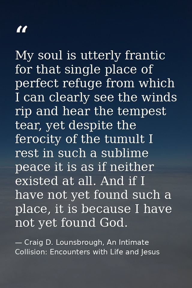 My soul is utterly frantic for that single place of perfect refuge from which I can clearly see the winds rip and hear t — Craig D. Lounsbrough, An Intimate Collision: Encounters with Life and Jesus
