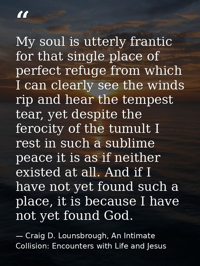 My soul is utterly frantic for that single place of perfect refuge from which I can clearly see the winds rip and hear t — Craig D. Lounsbrough, An Intimate Collision: Encounters with Life and Jesus