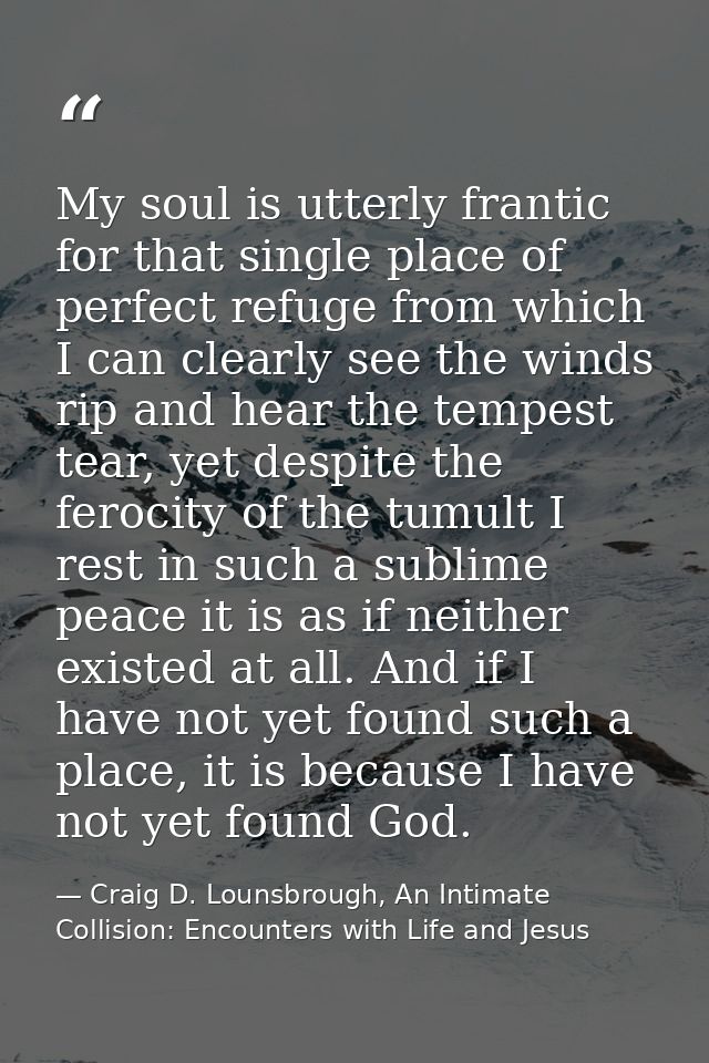 My soul is utterly frantic for that single place of perfect refuge from which I can clearly see the winds rip and hear t — Craig D. Lounsbrough, An Intimate Collision: Encounters with Life and Jesus
