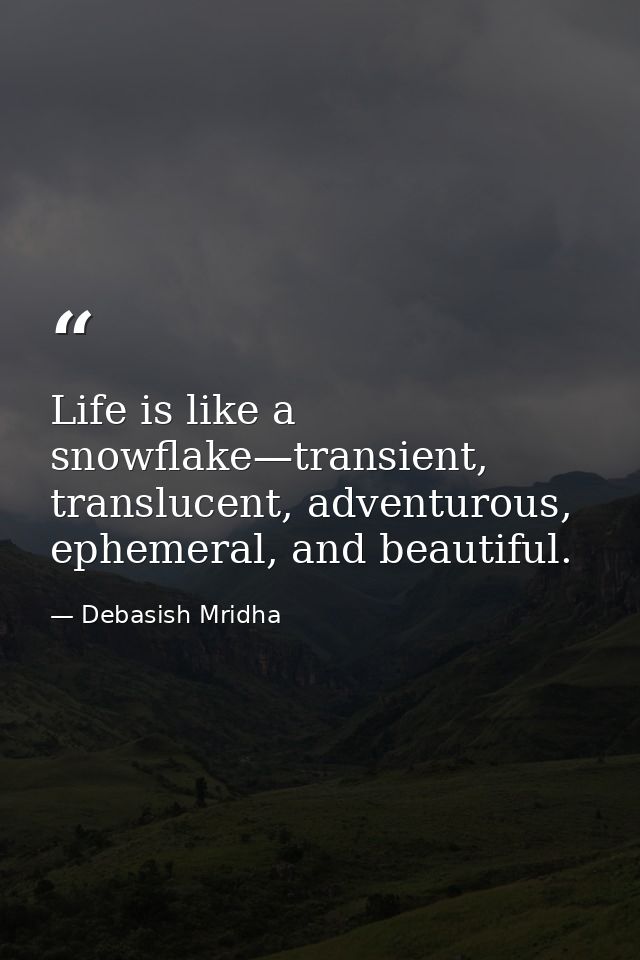 Life is like a snowflake—transient, translucent, adventurous, ephemeral, and beautiful. — Debasish Mridha