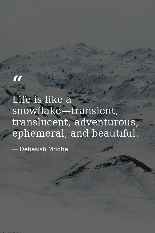 Life is like a snowflake—transient, translucent, adventurous, ephemeral, and beautiful. — Debasish Mridha