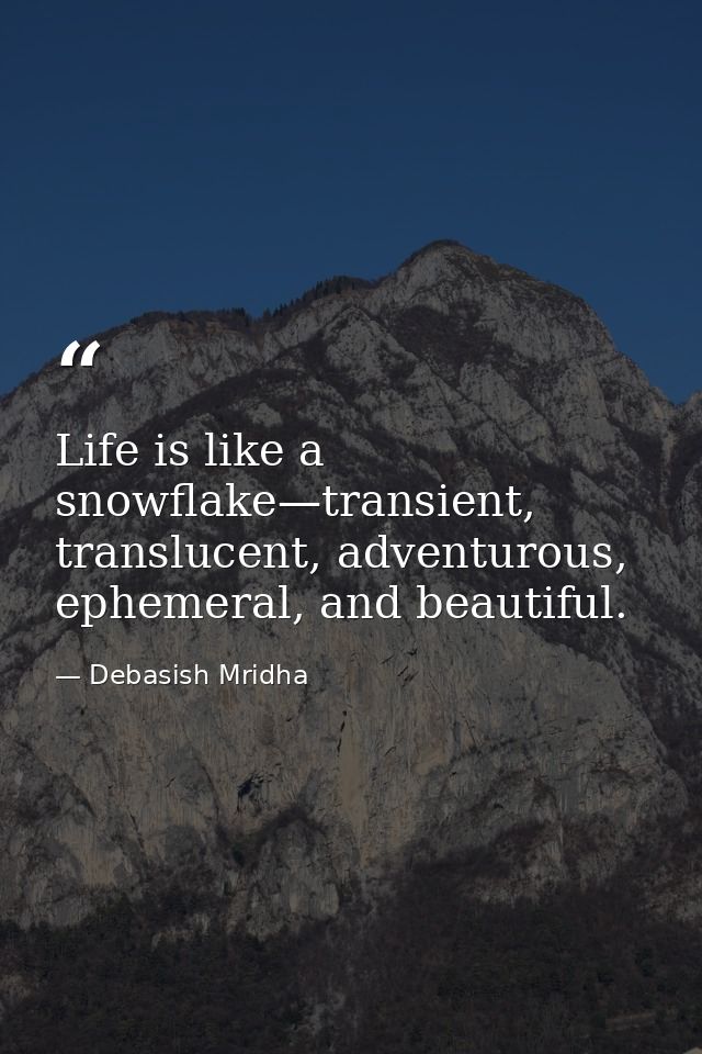 Life is like a snowflake—transient, translucent, adventurous, ephemeral, and beautiful. — Debasish Mridha