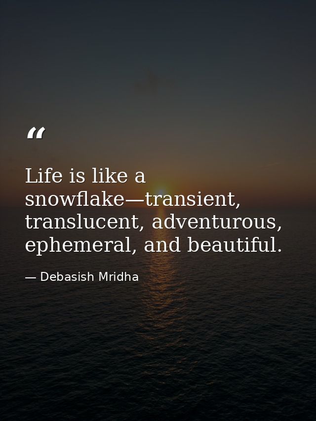 Life is like a snowflake—transient, translucent, adventurous, ephemeral, and beautiful. — Debasish Mridha