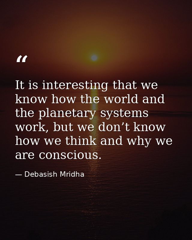 It is interesting that we know how the world and the planetary systems work, but we don’t know how we think and why we a — Debasish Mridha