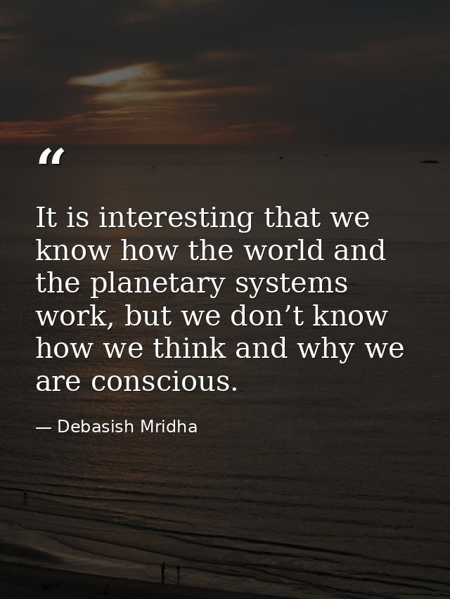 It is interesting that we know how the world and the planetary systems work, but we don’t know how we think and why we a — Debasish Mridha