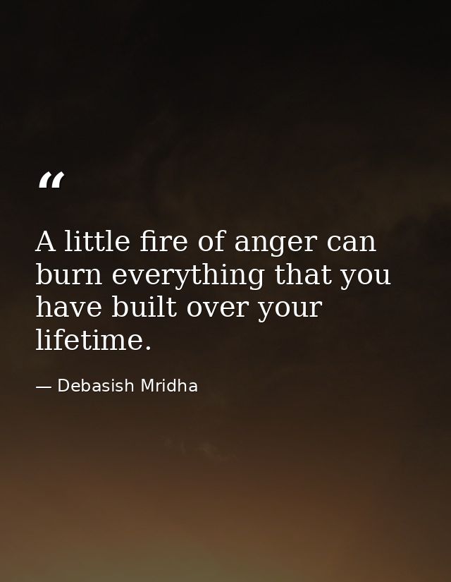 A little fire of anger can burn everything that you have built over your lifetime. — Debasish Mridha