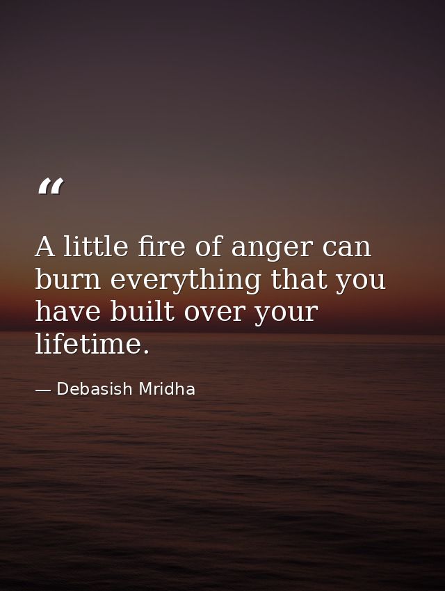 A little fire of anger can burn everything that you have built over your lifetime. — Debasish Mridha