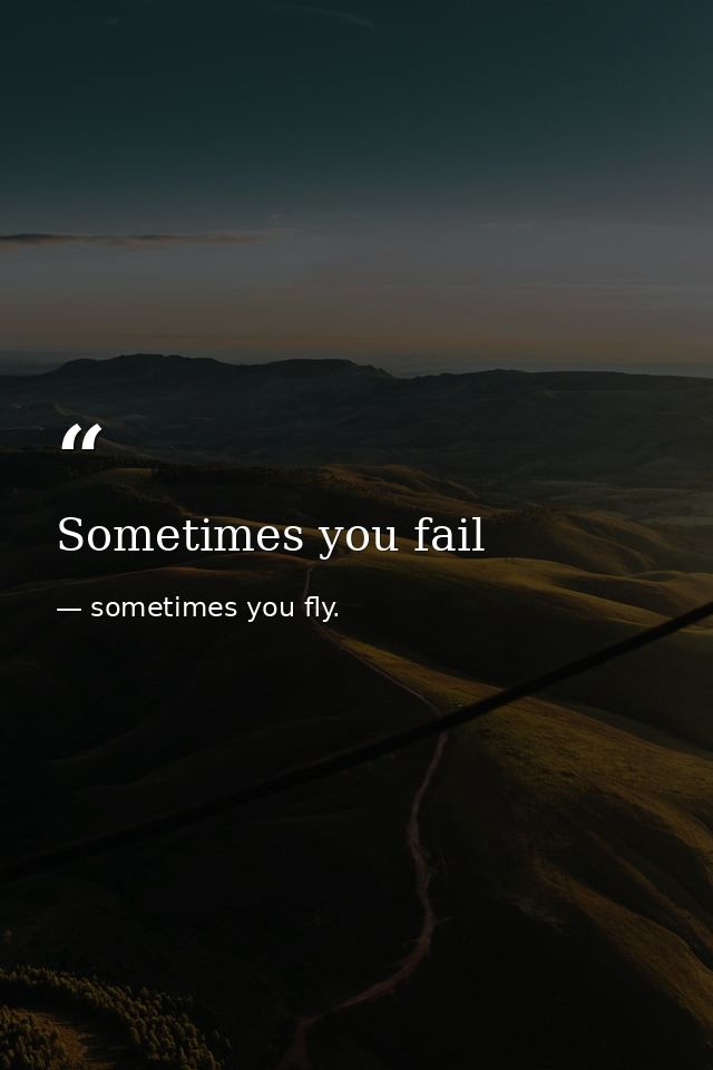 Sometimes you fail — sometimes you fly.