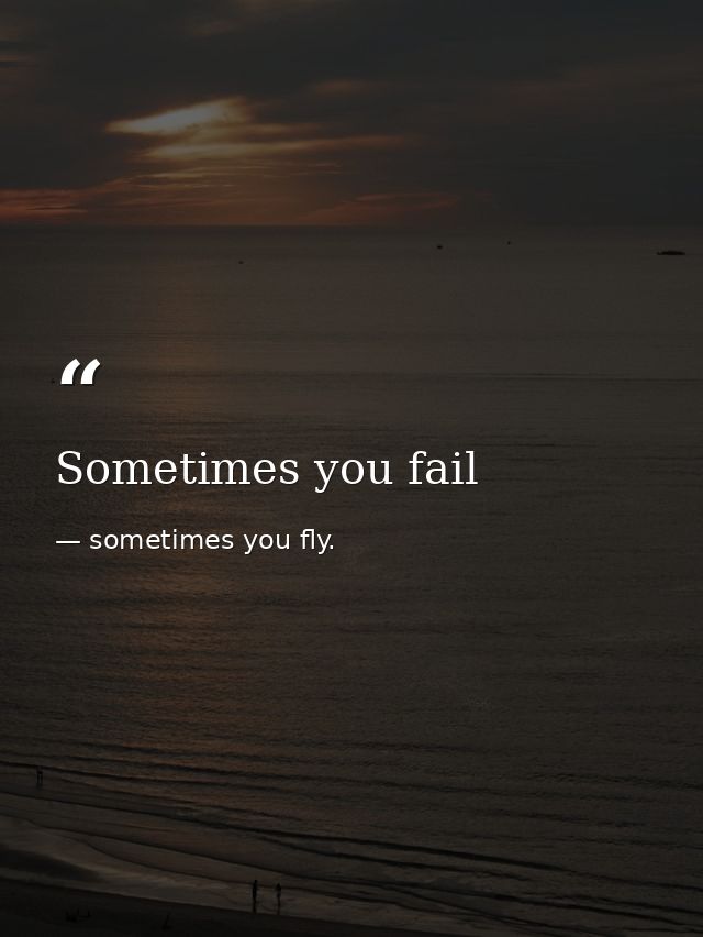 Sometimes you fail — sometimes you fly.