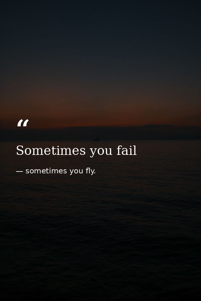 Sometimes you fail — sometimes you fly.