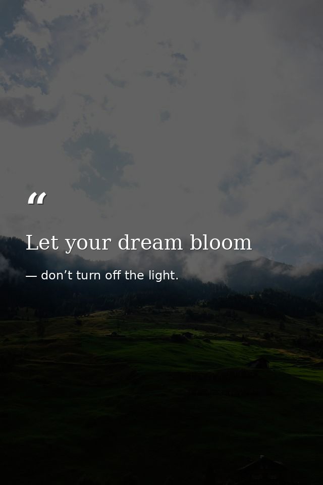 Let your dream bloom — don’t turn off the light.
