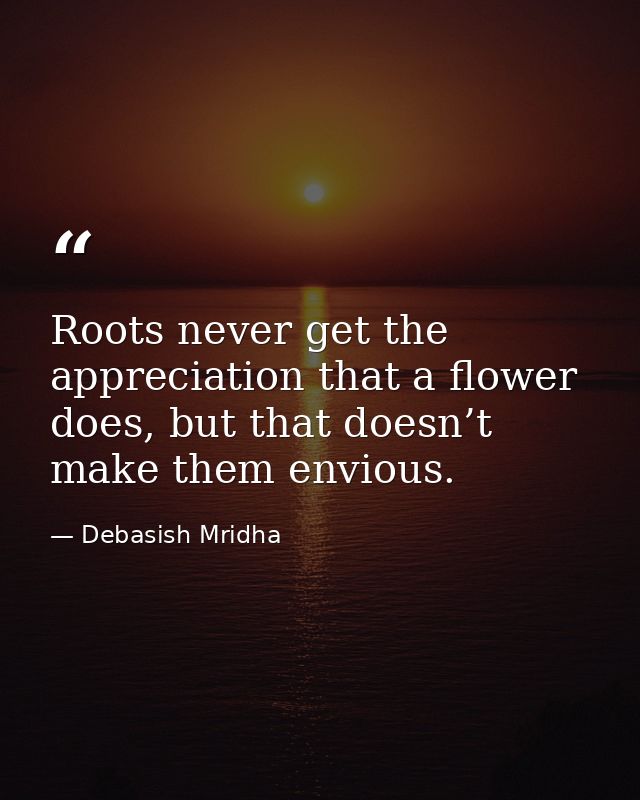 Roots never get the appreciation that a flower does, but that doesn’t make them envious. — Debasish Mridha