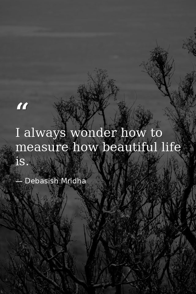 I always wonder how to measure how beautiful life is. — Debasish Mridha