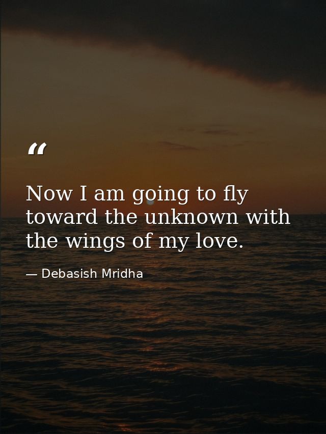 Now I am going to fly toward the unknown with the wings of my love. — Debasish Mridha