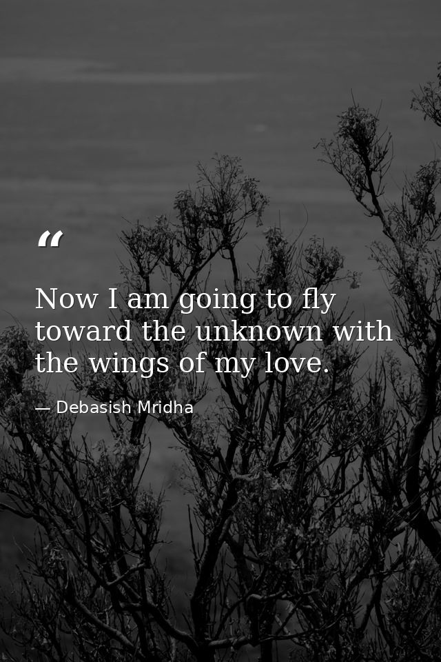 Now I am going to fly toward the unknown with the wings of my love. — Debasish Mridha