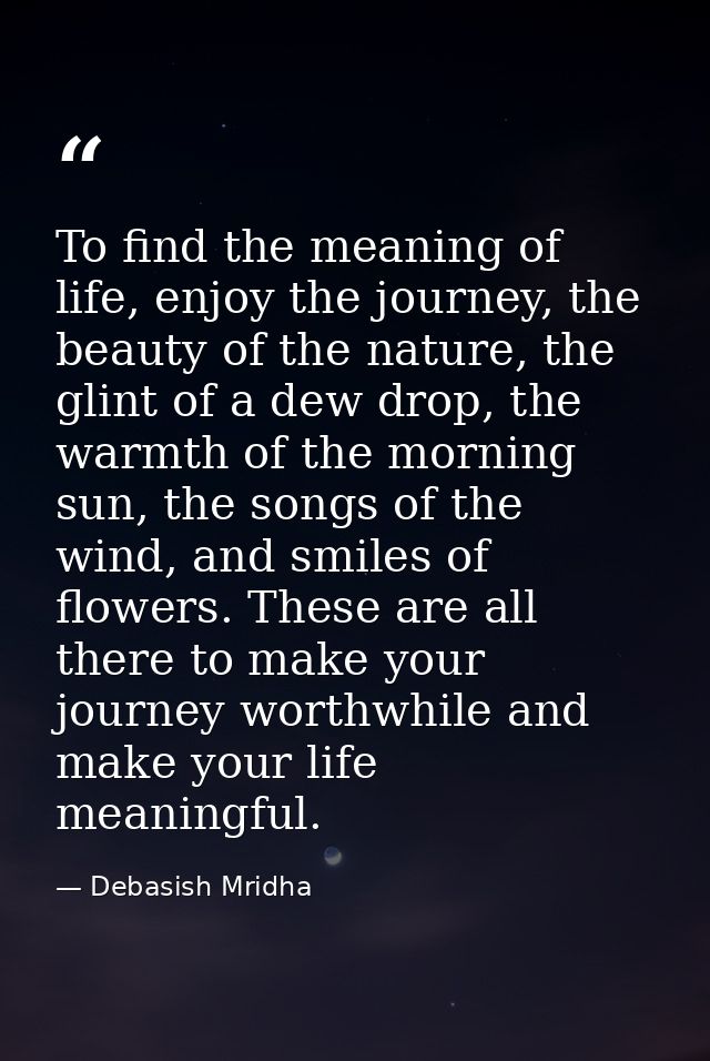 To find the meaning of life, enjoy the journey, the beauty of the nature, the glint of a dew drop, the warmth of the mor — Debasish Mridha