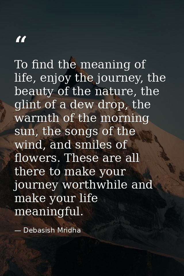 To find the meaning of life, enjoy the journey, the beauty of the nature, the glint of a dew drop, the warmth of the mor — Debasish Mridha